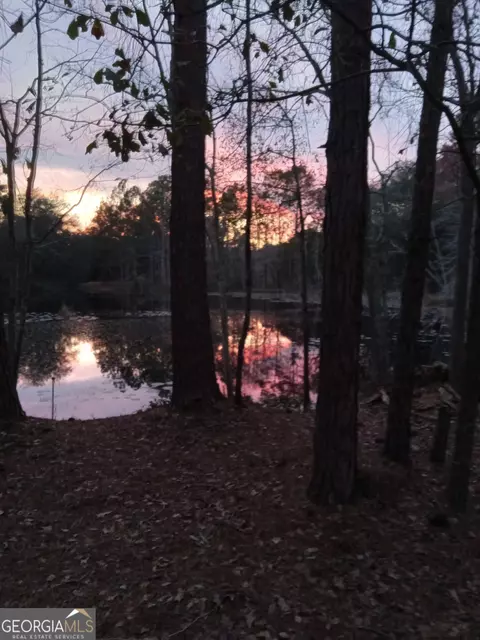 View/Area - 30 Golden Ln, Collins, GA 30421 photo 1 of 3
