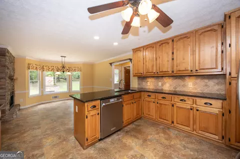 Kitchen - 130 Wild Azaela Trl, Hampton, GA 30228 photo 7 of 9