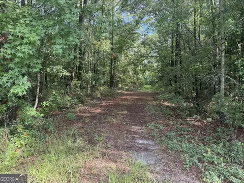 68 Johnson Rd, Richmond Hill, GA 31324