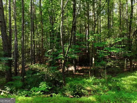 00000 Chitwood Rd, Baldwin, GA 30511 photo 8