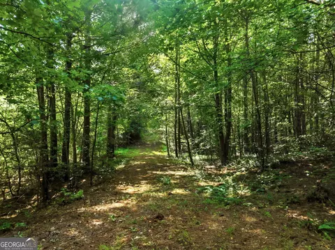 00000 Chitwood Rd, Baldwin, GA 30511 photo 6