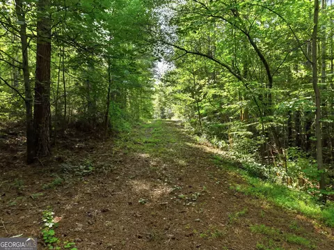 00000 Chitwood Rd, Baldwin, GA 30511 photo 7