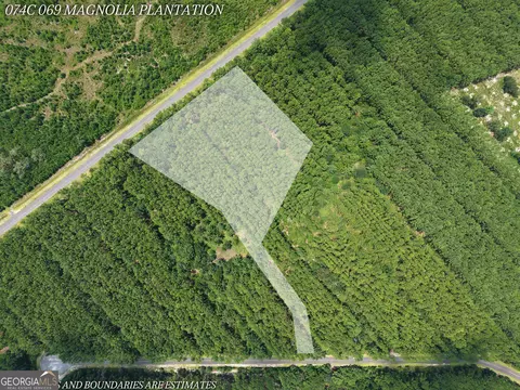 lot69 Magnolia Plantation, White Oak, GA 31568