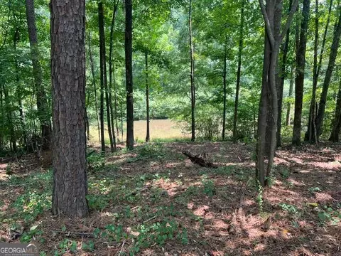 View/Area - 196 Old Scout Rd, Jackson, GA 30233 photo 2 of 2