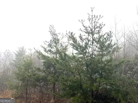 0 Fox Mountain Rd, Hiddenite, NC 28363 photo 5