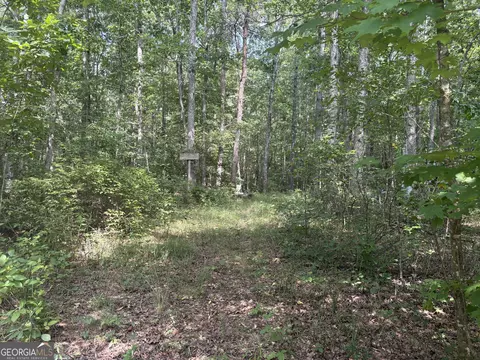 0 Griff Johnson Rd, Menlo, GA 30731