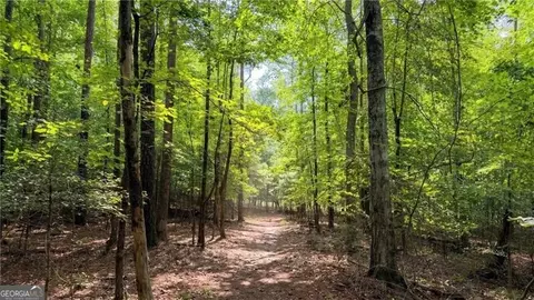 Other - 1769 Rowland Pass, Buford, GA 30518 photo 8 of 9