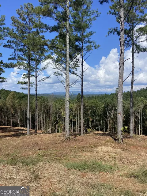 lot63 Lacey Springs Ln, Ellijay, GA 30540