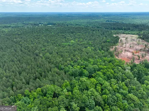 12 35 - Ac White Rd, Pine Mountain, GA 31822 photo 12