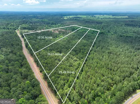 12 35 - Ac White Rd, Pine Mountain, GA 31822 photo 3