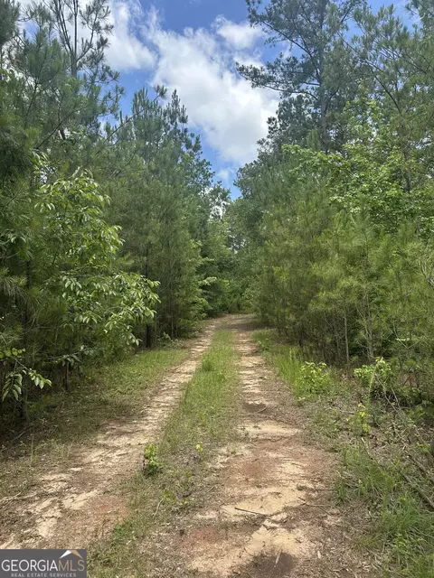12 35 - Ac White Rd, Pine Mountain, GA 31822 photo 4