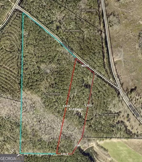 12 35 - Ac White Rd, Pine Mountain, GA 31822 photo 2