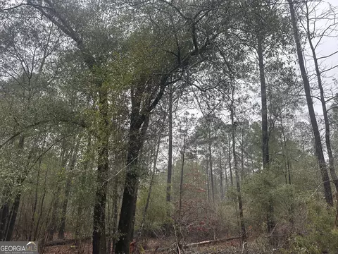 12 35 - Ac White Rd, Pine Mountain, GA 31822 photo 8