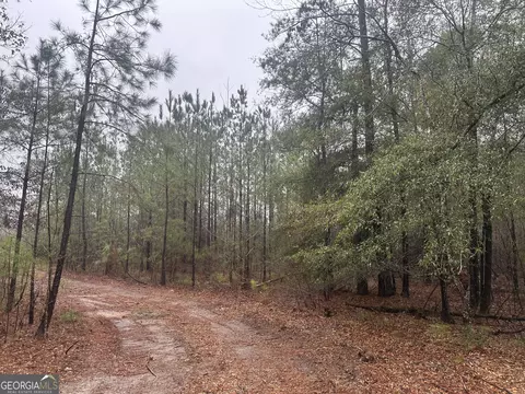 12 35 - Ac White Rd, Pine Mountain, GA 31822 photo 7
