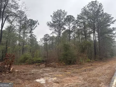 12 35 - Ac White Rd, Pine Mountain, GA 31822 photo 9