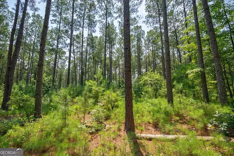 0 Jabez Poyner Rd, Carlton, GA 30627