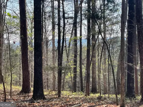 Tract 3 Chalcrest Way, Cave Spring, GA 30124 photo 3