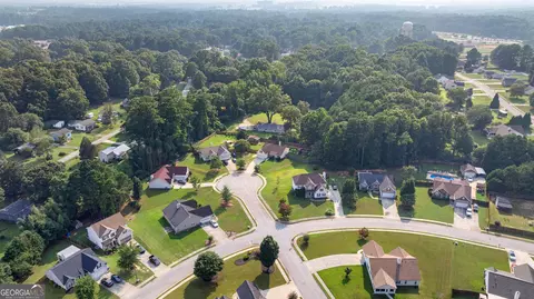 View/Area - 1003 Marsh Court Ct, Hampton, GA 30228 photo 7 of 10