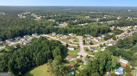 View/Area - 1003 Marsh Court Ct, Hampton, GA 30228 photo 6 of 10