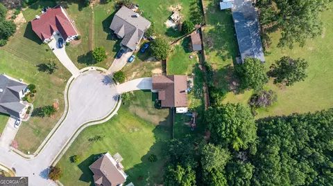 View/Area - 1003 Marsh Court Ct, Hampton, GA 30228 photo 3 of 10