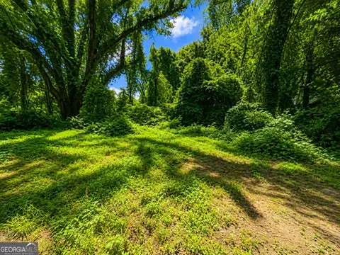 0 Mize Rd, Toccoa, GA 30577 photo 5