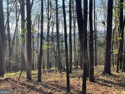 Tract 1b Chalcrest Way, Cave Spring, GA 30124 photo 3