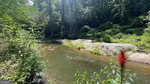 View/Area - 156 Thundering Waters Dr, Cornelia, GA 30531 photo 8 of 8