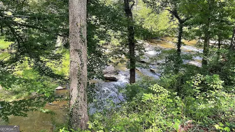 View/Area - 156 Thundering Waters Dr, Cornelia, GA 30531 photo 4 of 8