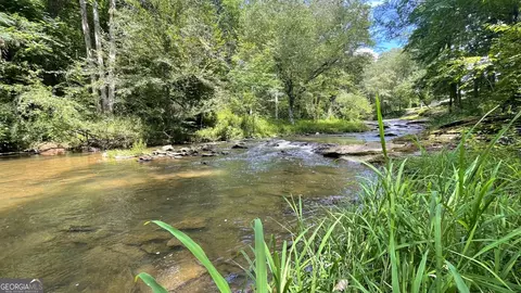 View/Area - 156 Thundering Waters Dr, Cornelia, GA 30531 photo 7 of 8