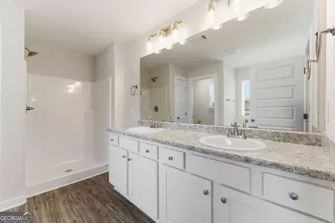 Bath - 11157 Cornerstone Way, Hampton, GA 30228 photo 3 of 3