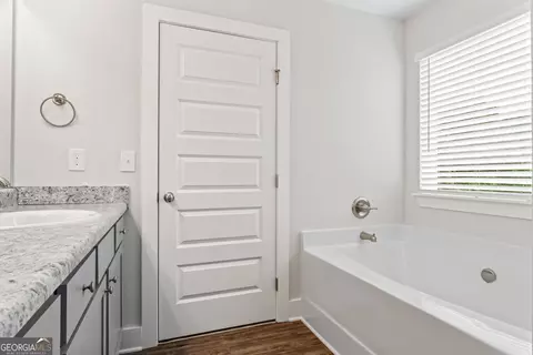 Bath - 11153 Cornerstone Way, Hampton, GA 30228 photo 4 of 5
