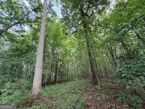0 Woods Bridge Rd, Commerce, GA 30529 photo 34