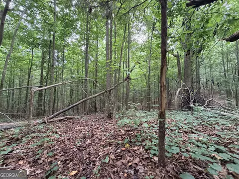 0 Woods Bridge Rd, Commerce, GA 30529 photo 31