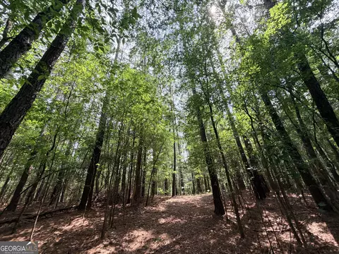 0 Woods Bridge Rd, Commerce, GA 30529 photo 26