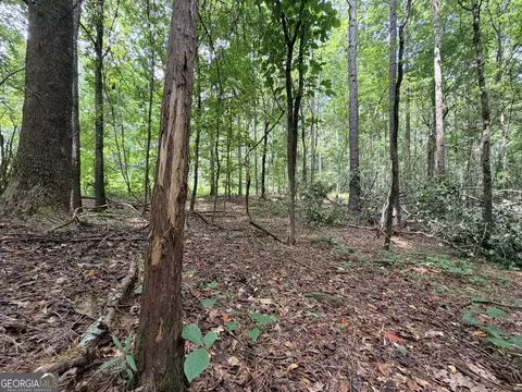 0 Woods Bridge Rd, Commerce, GA 30529 photo 28