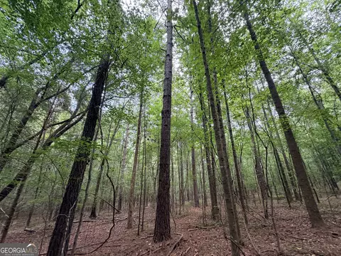0 Woods Bridge Rd, Commerce, GA 30529 photo 32