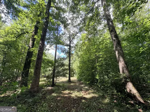 0 Woods Bridge Rd, Commerce, GA 30529 photo 12