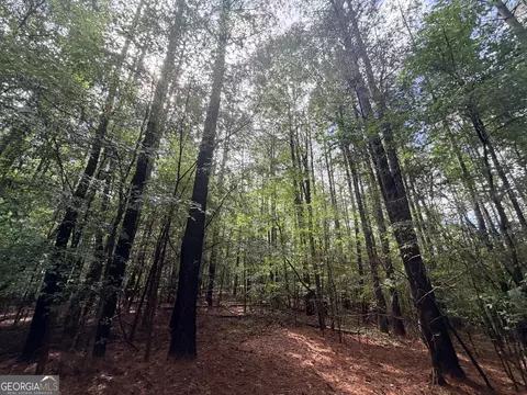 0 Woods Bridge Rd, Commerce, GA 30529 photo 21