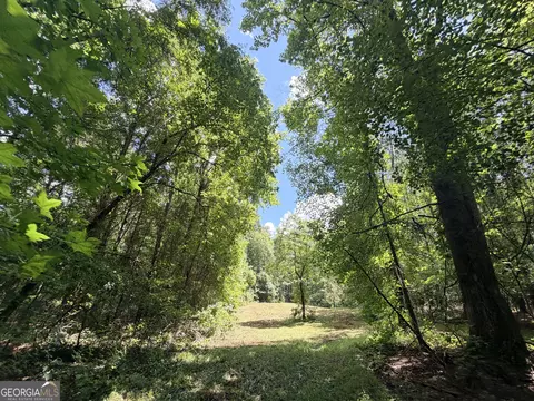 0 Woods Bridge Rd, Commerce, GA 30529 photo 11