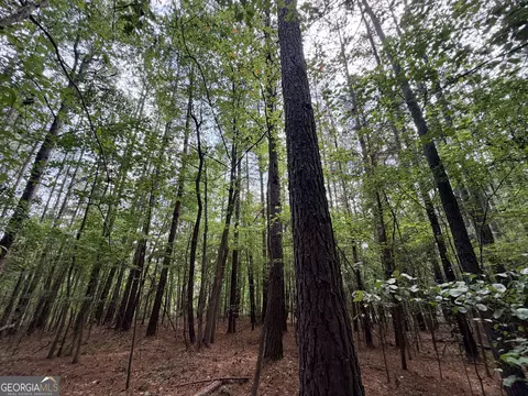 0 Woods Bridge Rd, Commerce, GA 30529 photo 22