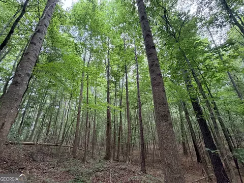 0 Woods Bridge Rd, Commerce, GA 30529 photo 33