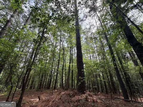 0 Woods Bridge Rd, Commerce, GA 30529 photo 25