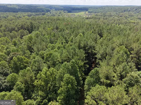 0 Woods Bridge Rd, Commerce, GA 30529 photo 16