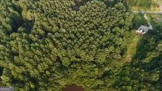 lot B Brush Creek Rd, Colbert, GA 30628 photo 7