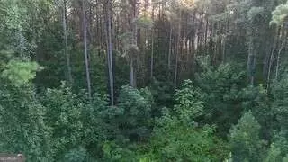 lot B Brush Creek Rd, Colbert, GA 30628 photo 8