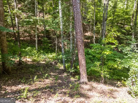 Other - 132 Lanes Way, Murphy, NC 28906 photo 4 of 6
