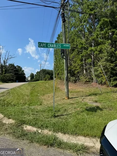 0 Cape Charles Ave, Hampton, GA 30228 photo 3