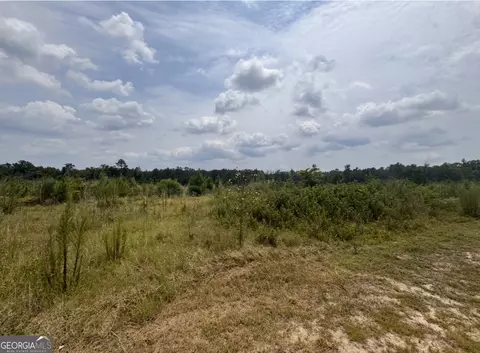 0 Rose Hollow Rd, Lyons, GA 30436 photo 2