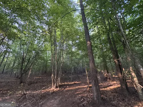 7 Bunch Rd, Tignall, GA 30688 photo 10
