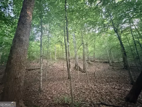 7 Bunch Rd, Tignall, GA 30688 photo 37